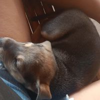 คุยกันเรื่องทั่วไป