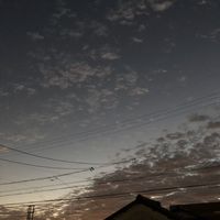 ただのひとりごと。
