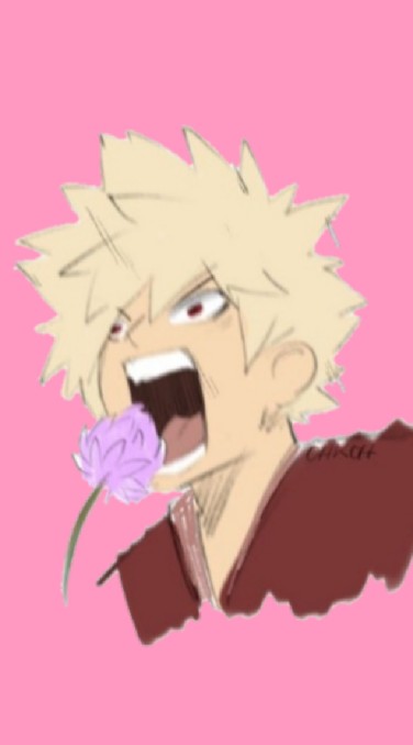 ◍Bo ku no My Hero Academia ◍