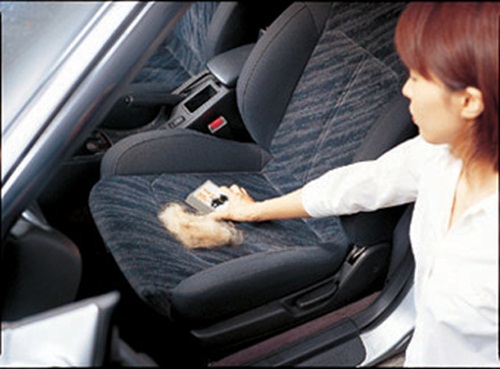 WOW！貓狗專用的菜瓜布！