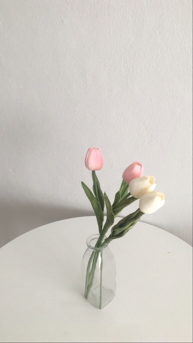 ✿  ֯ 🌬⑅  ᳝ ตัวแทนขายแอค 𝐵𝑦 𝑛𝑜𝑟𝑛𝑜𝑟 𝄞  𓈒  🐇 ᳝  𐬹 ּ