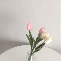 ✿  ֯ 🌬⑅  ᳝ ตัวแทนขายแอค 𝐵𝑦 𝑛𝑜𝑟𝑛𝑜𝑟 𝄞  𓈒  🐇 ᳝  𐬹 ּ