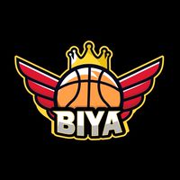 BIYA🏀籃球賽事專業分析