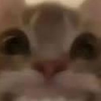 聊天~（一起瘋
