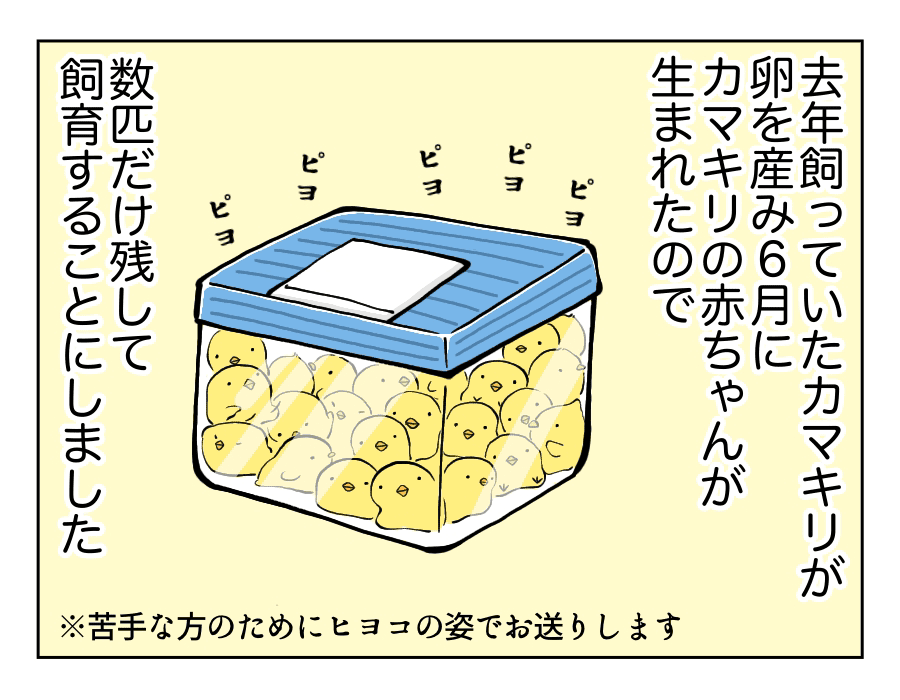 尊 謎 災 あなたの義母を漢字1字で表してください