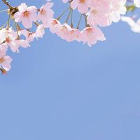課長とおしゃべりしませんか