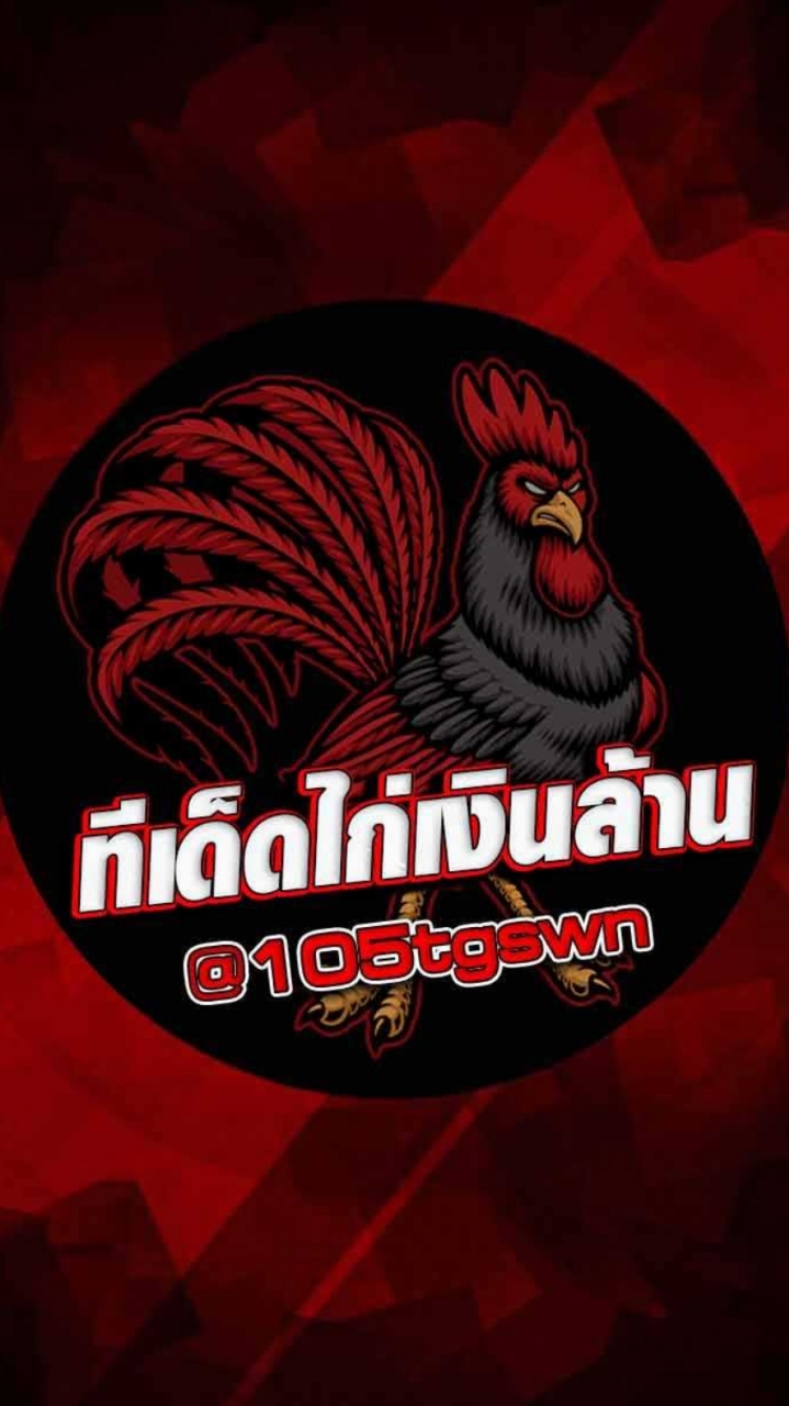 ทีเด็ดไก่เงินล้าน