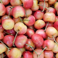 🍑🍎ผลไม้นำเข้าราคาส่ง มีบริการจัดส่ง