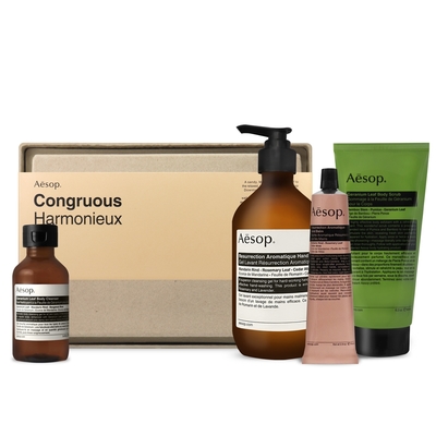 Aesop 街景合奏 (手部清潔露+護手霜+去角質+潔膚露)
