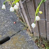 手話をはなそうよ。楽しもうねー❗️