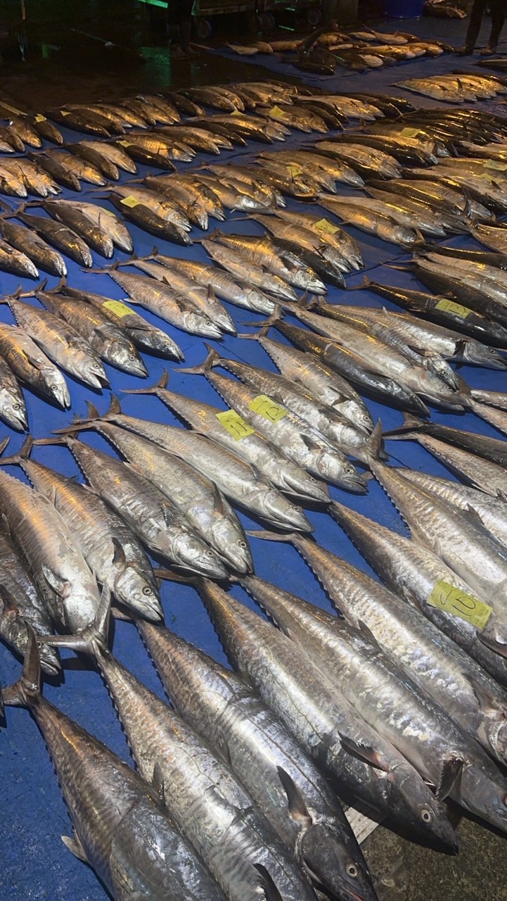 澎湖遇見海水產🦑