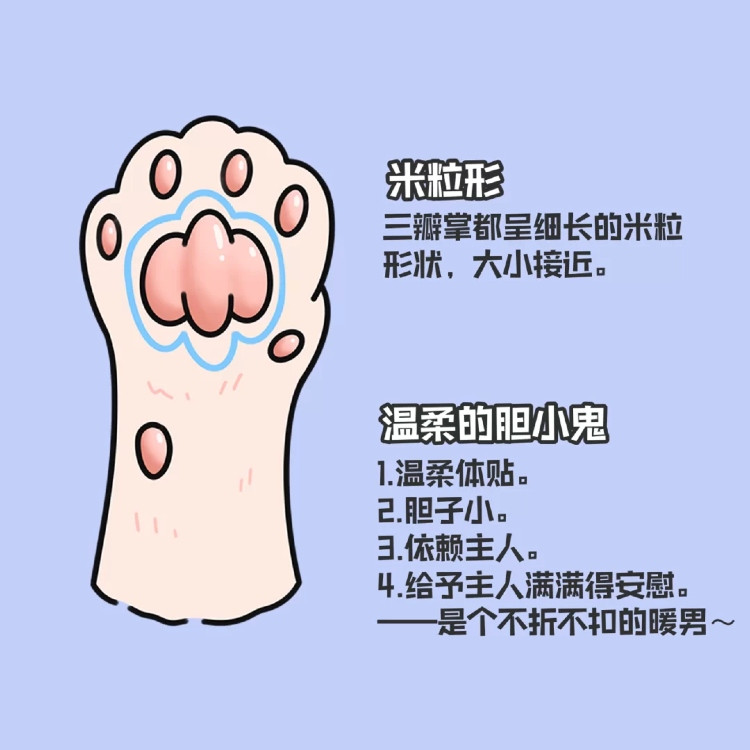 下滑至內文看更多