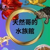 天然哥の寵物水族館X蛙爺兩棲爬蟲（交流群 魚蝦競標 買賣 造景水草 烏龜陸龜 角蛙 兩棲爬蟲交流