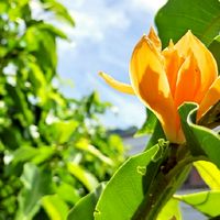 全台農業旅遊、農事體驗好康分享