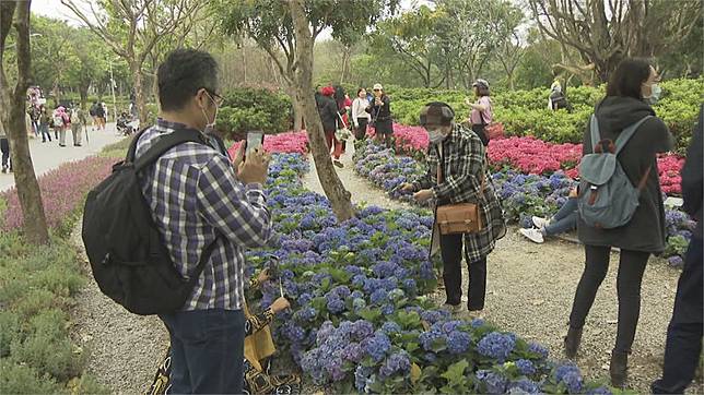 杜鵑花季最後10天 大安森林公園吸賞花客 民視新聞網 Line Today