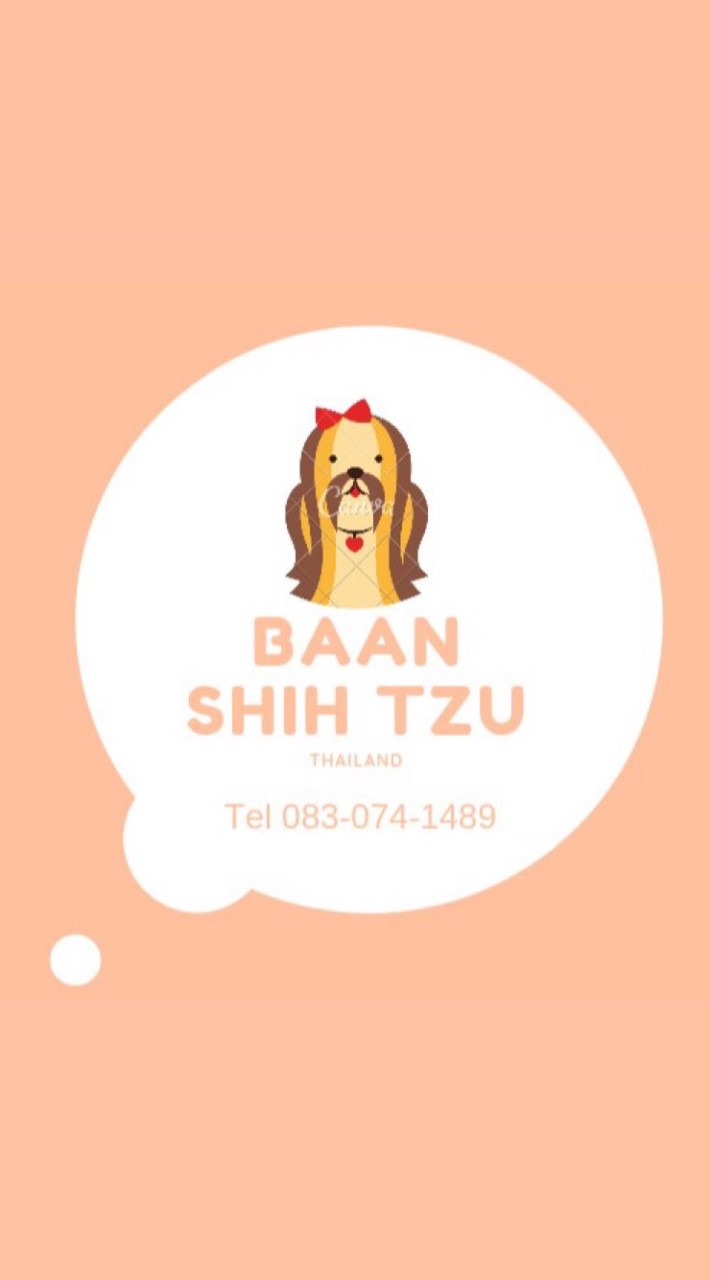 Baan Shih Tzu Thailand