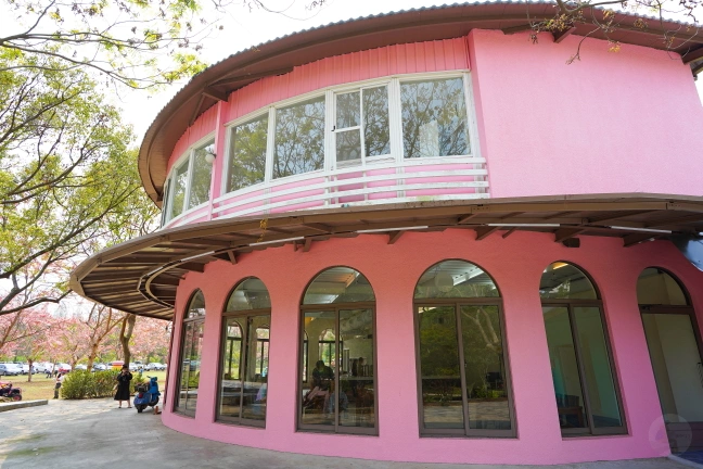 中部景點,斗六景點,斗六花旗木,近水樓台,近水樓台湖畔森林咖啡,近水樓台湖畔森林咖啡交通資訊,近水樓台湖畔森林咖啡停車場,近水樓台湖畔森林咖啡停車場花旗木,近水樓台湖畔森林咖啡門票,雲林IG打卡點,雲林景點,雲林網美景點,雲林花旗木近水樓台湖畔森林咖啡花旗木