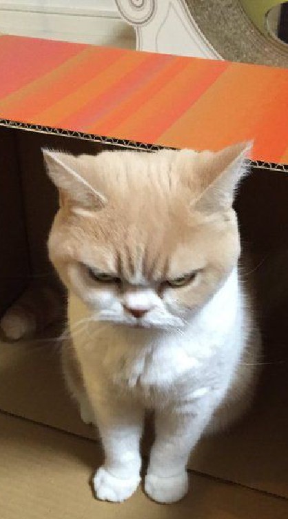 แจกทุกอย่าง 🍊❕