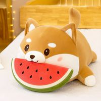 🍉吃瓜小天地🍉