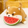 🍉吃瓜小天地🍉