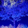 18トリソミーの家族の会