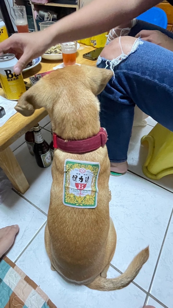 油壓丙級證照甲班