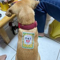油壓丙級證照甲班