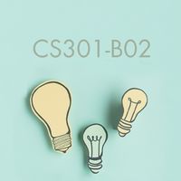 CS301-B02