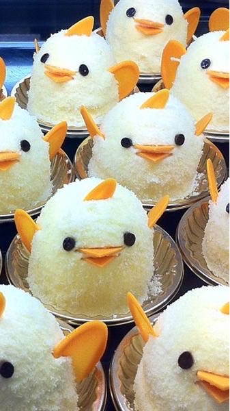 日本中部/名古屋 在住台灣人