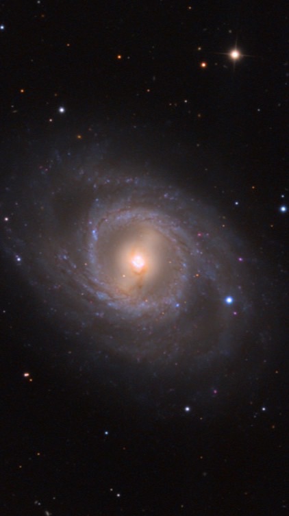 福岡学生バンド⭐︎