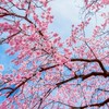 人見知りでも平気な真紅の挨拶部屋｡会話苦手な方集まれ｡