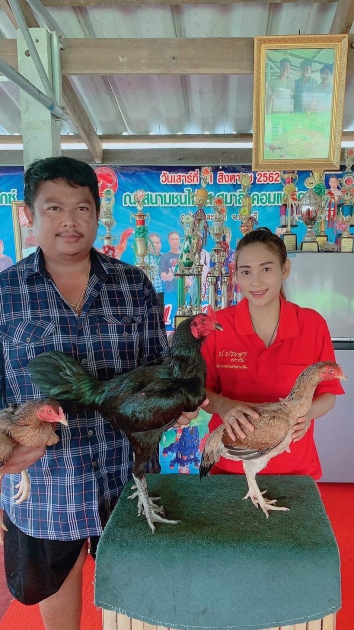 ซุ้มส.เสเพล ราช