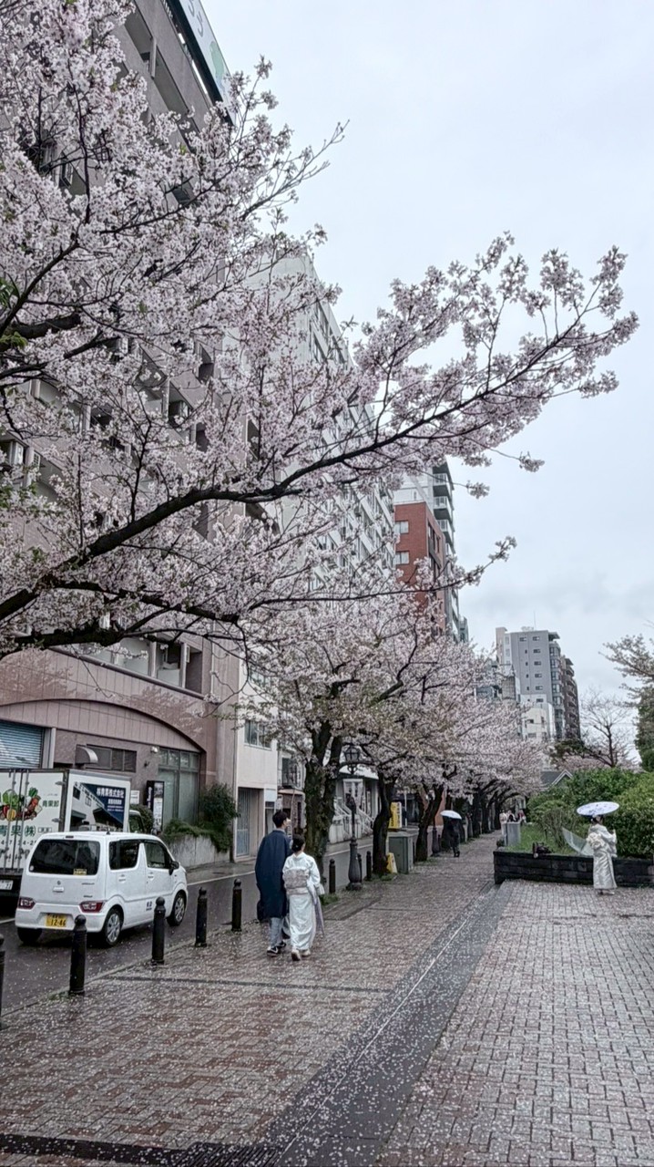 รับหิ้วสินค้า ญี่ปุ่น เกาหลี 🇯🇵🇰🇷 ตามรอบบิน by Aun