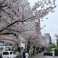 รับหิ้วสินค้า ญี่ปุ่น เกาหลี 🇯🇵🇰🇷 ตามรอบบิน by Aun