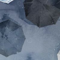 止まない雨は無いと言うけれど。 ✴︎ 【 全也炉留必須 】