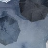 止まない雨は無いと言うけれど。 ✴︎ 【 全也炉留必須 】