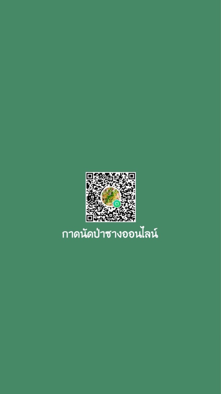 กาดนัดป่าซาง ออนไลน์