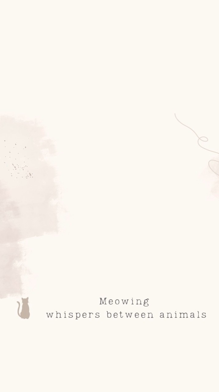 妙音～動物溝通社群