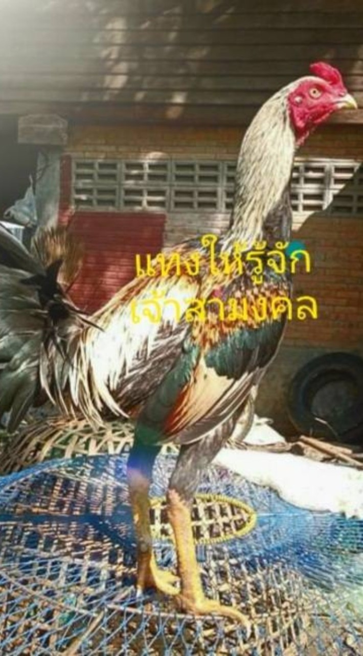 ซุ้มเพชรตะวัน