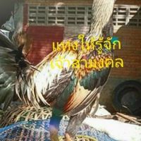 ซุ้มเพชรตะวัน