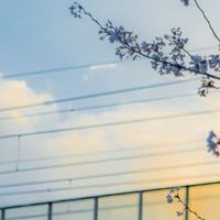 貴方が見据えた未来に：学パロ全也