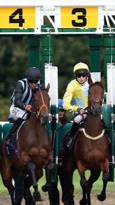 World Horse Racing Thailand
