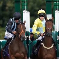 World Horse Racing Thailand