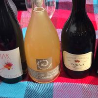 東京ピクニックワイン会