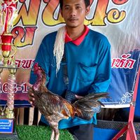 🐲จิ๊กโก๋นายาง🐲🐓