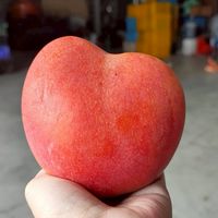 煮婦愛團購