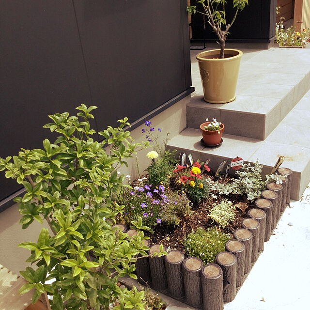 ちょっとしたスペースで 玄関前のガーデニング実例集 Roomclip Mag