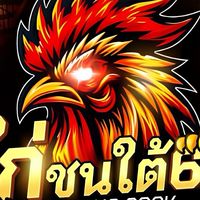 ไก่ชนใต้69