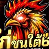 ไก่ชนใต้69