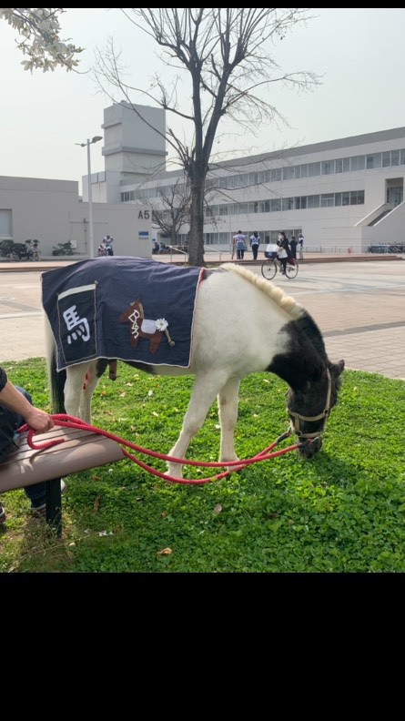 大阪府立大学🐴馬術部